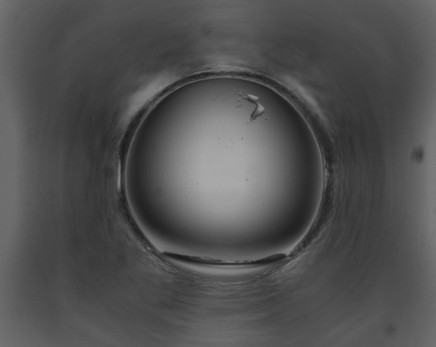X0000093441269200710191033