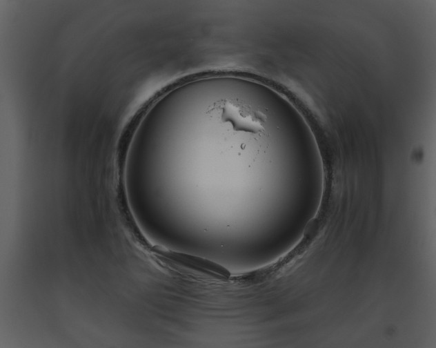 X0000093441270200710191033