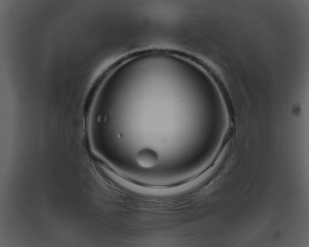 X0000093441271200710191033