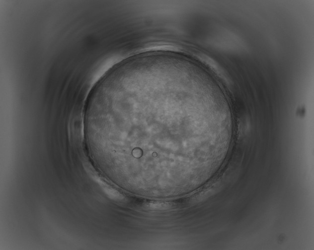 X0000093441274200710191033
