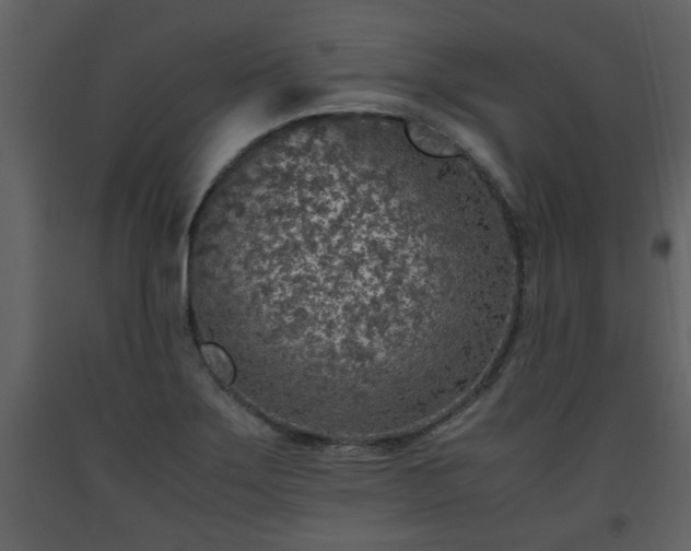 X0000093441275200710191033