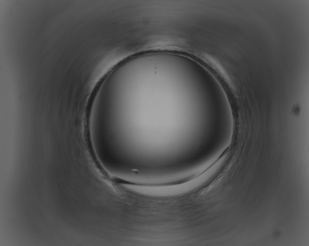 X0000093441277200710191033
