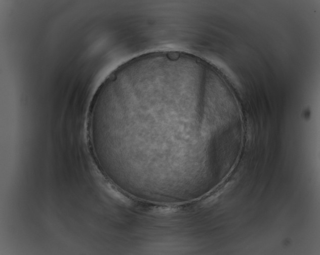 X0000093441278200710191033