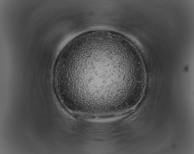 X0000093441279200710191033