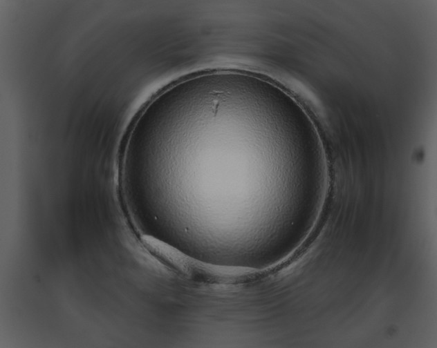 X0000093441280200710191033