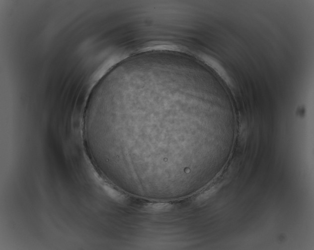 X0000093441282200710191033
