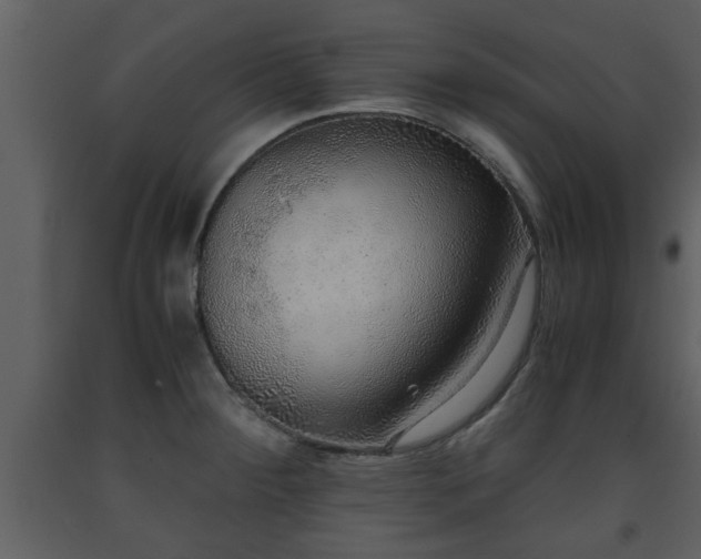 X0000093441284200710191032