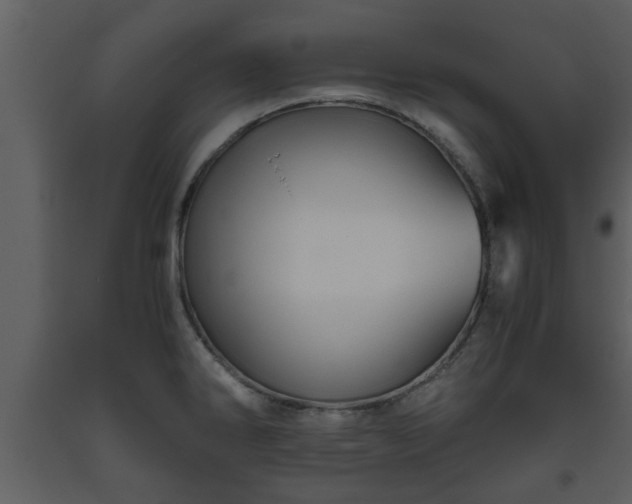X0000093441286200710191032