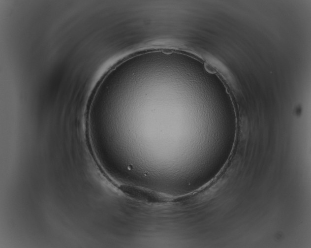 X0000093441288200710191032