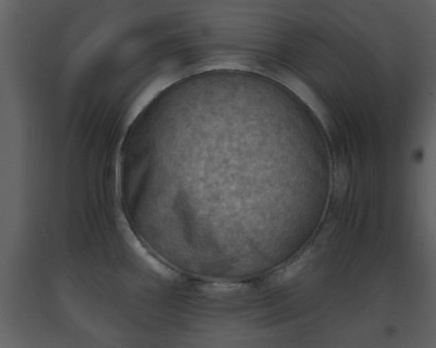 X0000093441290200710191032