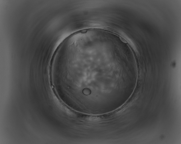 X0000093441291200710191032