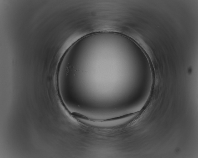 X0000093441293200710191032