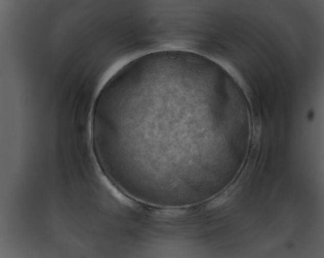 X0000093441294200710191032