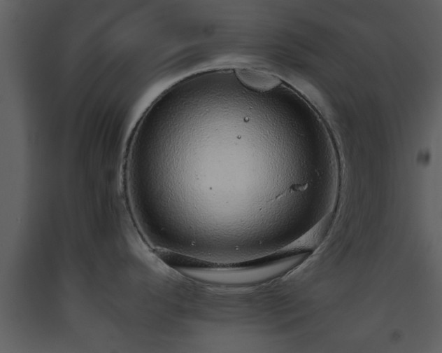 X0000093441296200710191032