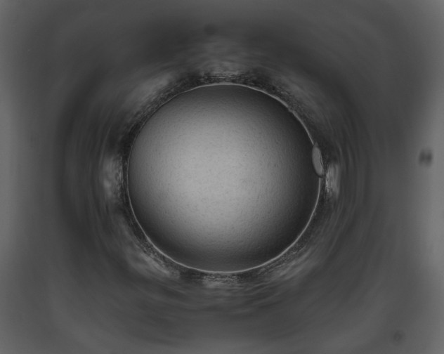 X0000093441299200710191032