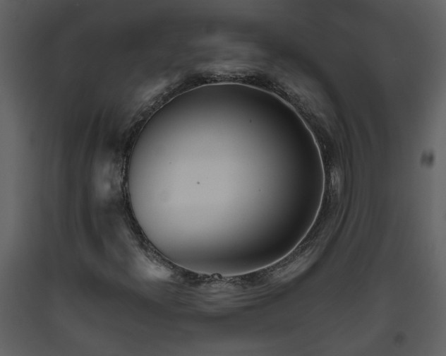 X0000093441300200710191032