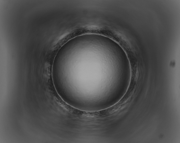 X0000093441301200710191032