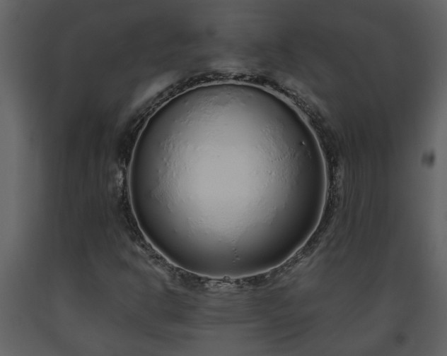 X0000093441302200710191032