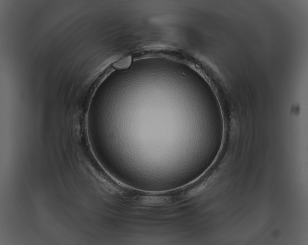 X0000093441305200710191032