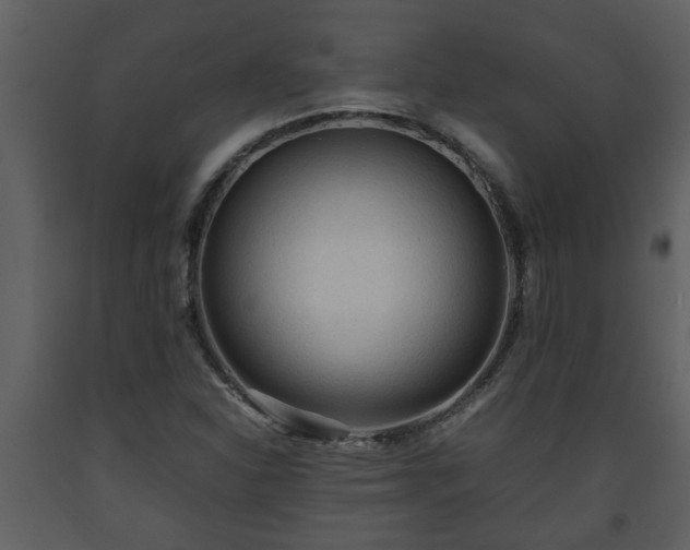 X0000093441310200710191032