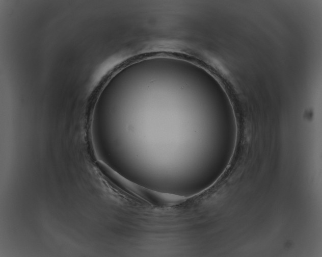 X0000093441312200710191032