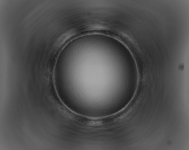 X0000093441313200710191032