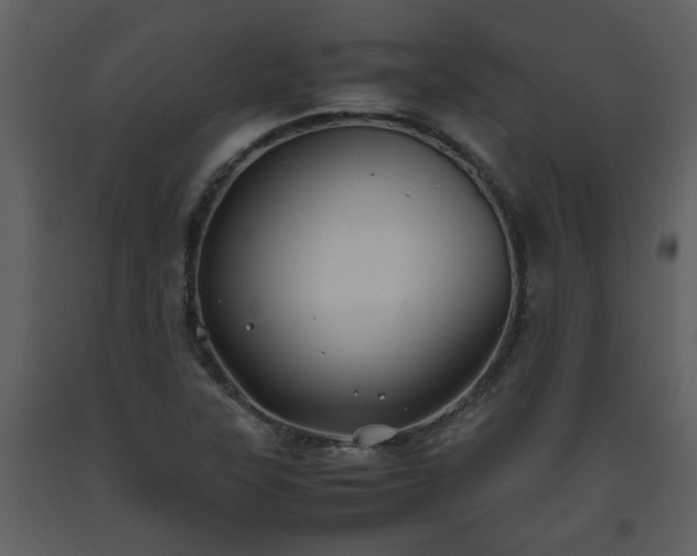 X0000093441315200710191032