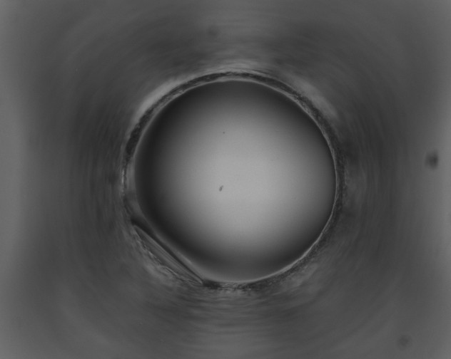 X0000093441316200710191032