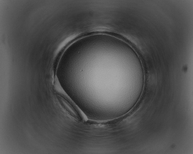 X0000093441317200710191032