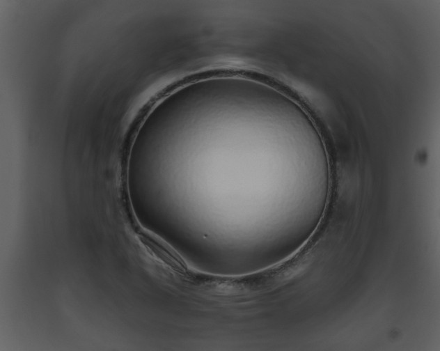 X0000093441318200710191032