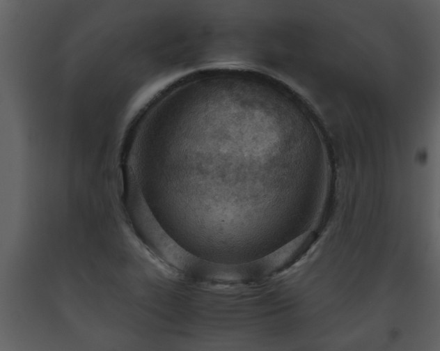X0000093441319200710191032