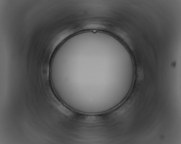 X0000093441322200710191032