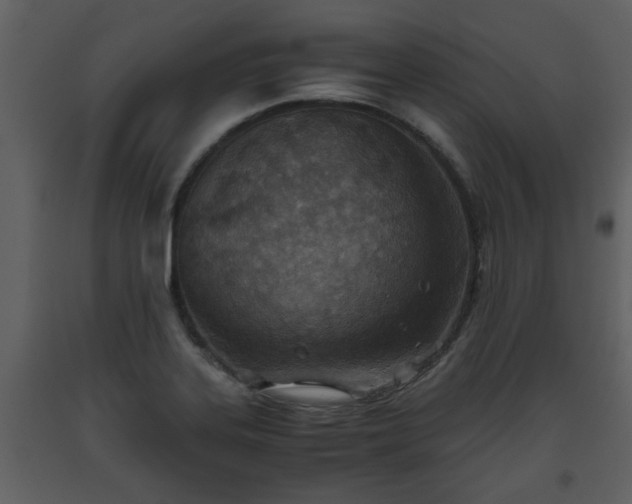 X0000093441323200710191032