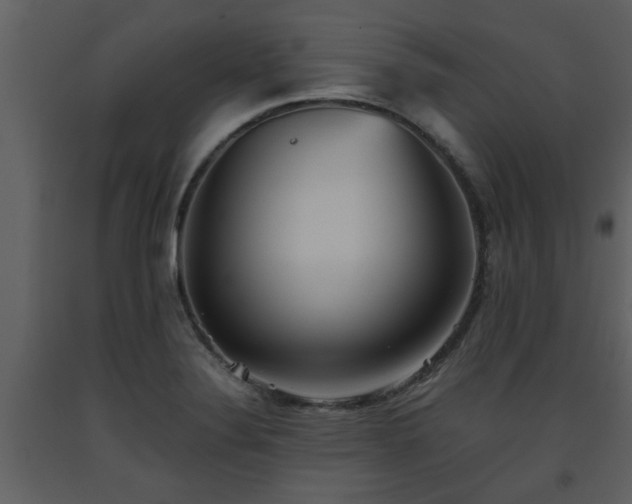 X0000093441324200710191032