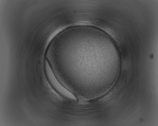X0000093441325200710191032