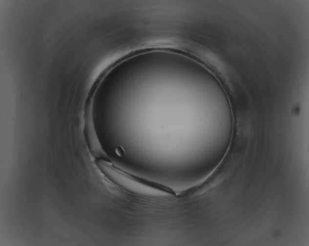 X0000093441328200710191032