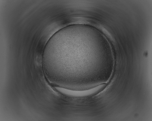 X0000093441329200710191032
