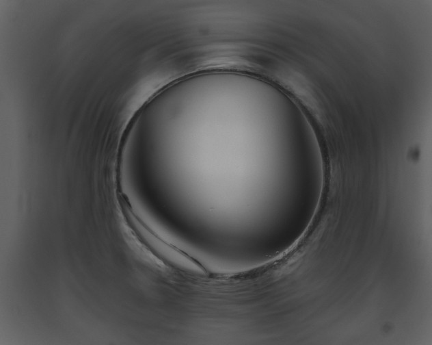 X0000093441330200710191032