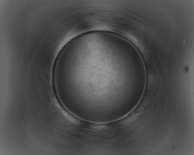 X0000093441331200710191032