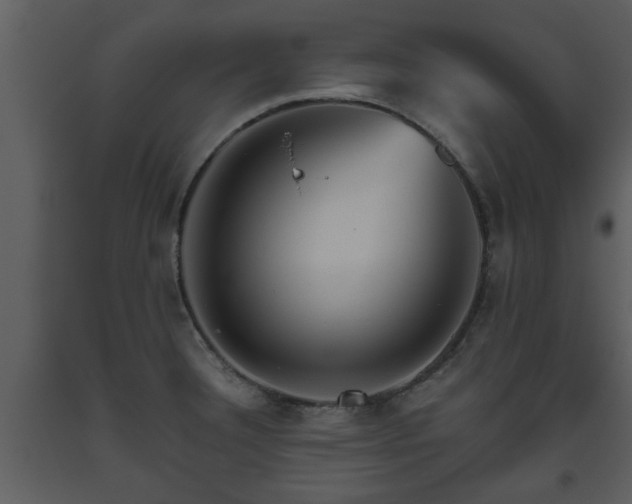 X0000093441332200710191032