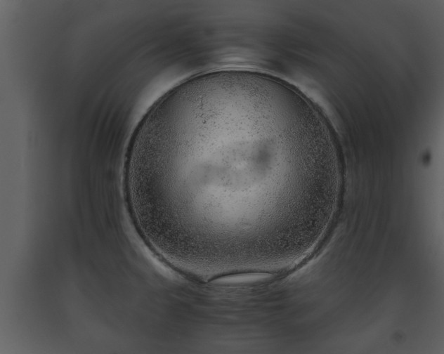 X0000093441333200710191032