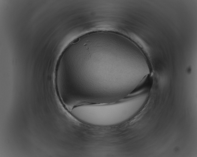 X0000093441334200710191032