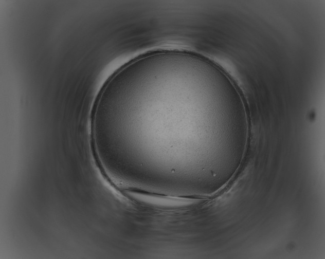 X0000093441335200710191032