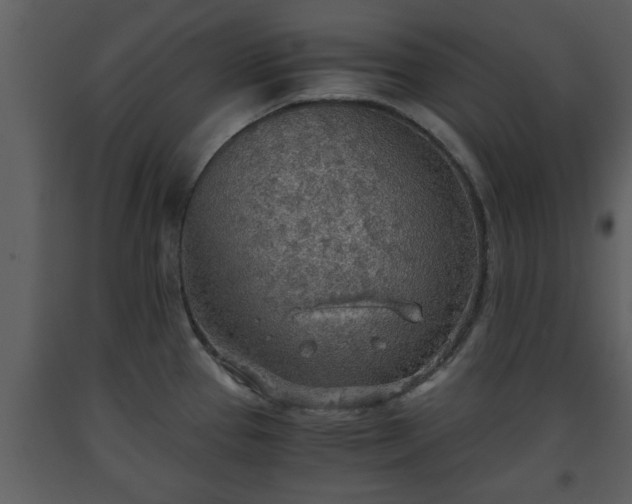 X0000093441337200710191032