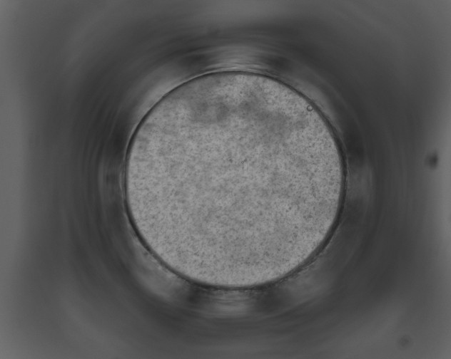 X0000093441338200710191032