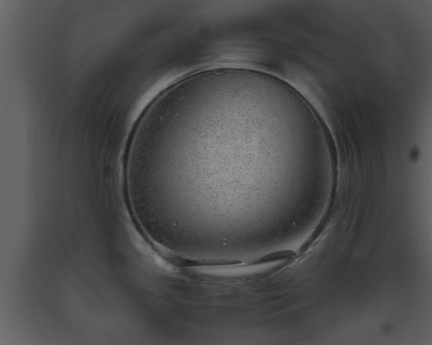 X0000093441341200710191032
