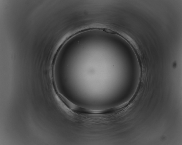 X0000093441342200710191032