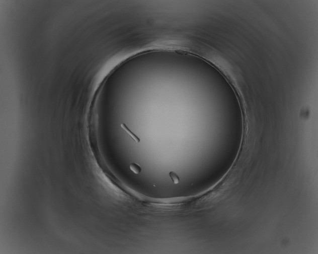 X0000093441344200710191032