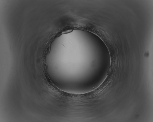 X0000093441345200710191032
