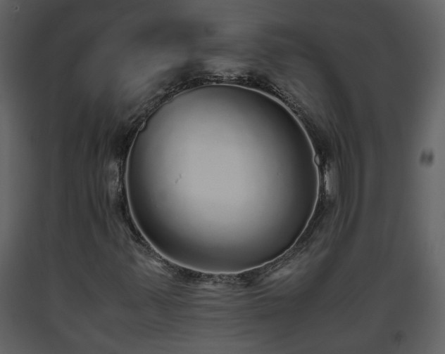X0000093441347200710191032
